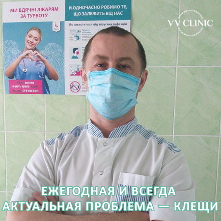 Ежегодная и всегда актуальная проблема – клещи